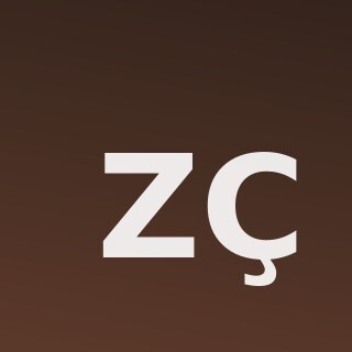 Zerrin Çakırca — Tür ve Platform Kullanımı