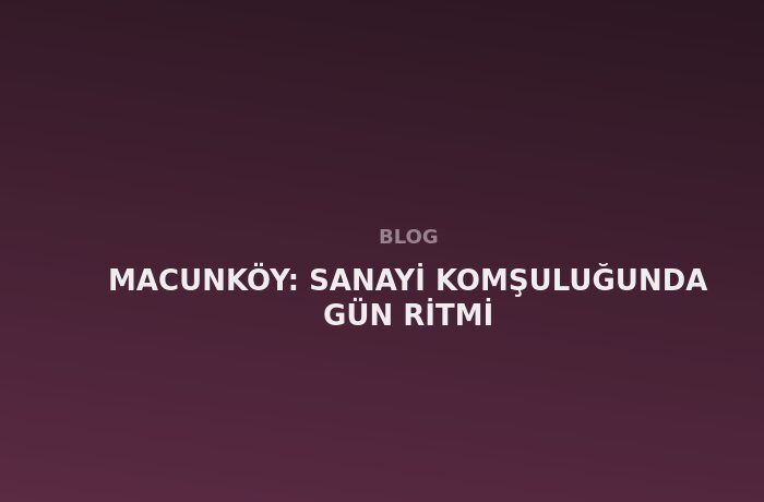 Macunköy: Sanayi Komşuluğunda Gün Ritmi
